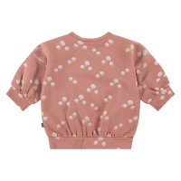 Babyface Baby Girls Sweatshirt