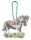 Moses Glimmis Pony